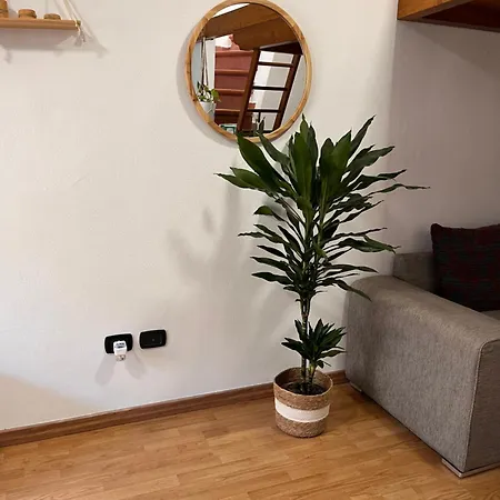 La Terrazza